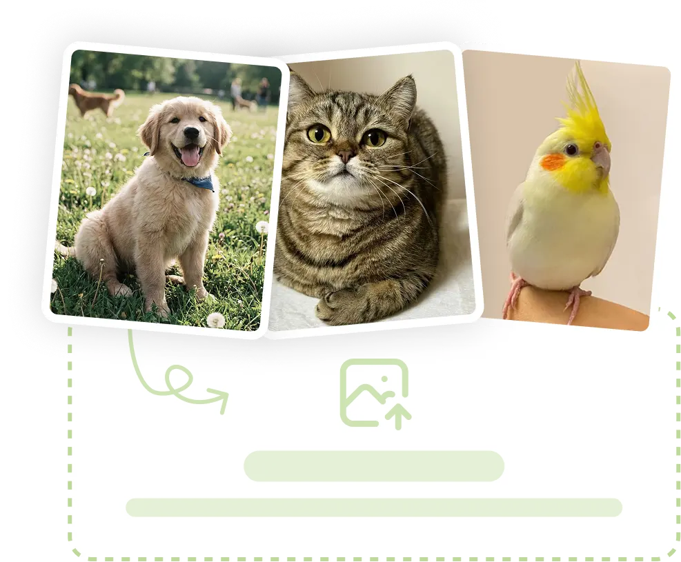 Screenshot of Meshy - showing app interface and features
