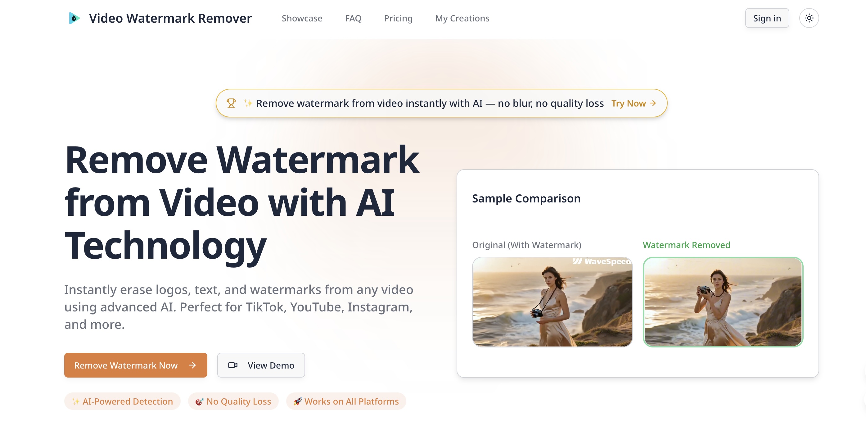 Screenshot of Video Watermark Remover - showing app interface and features